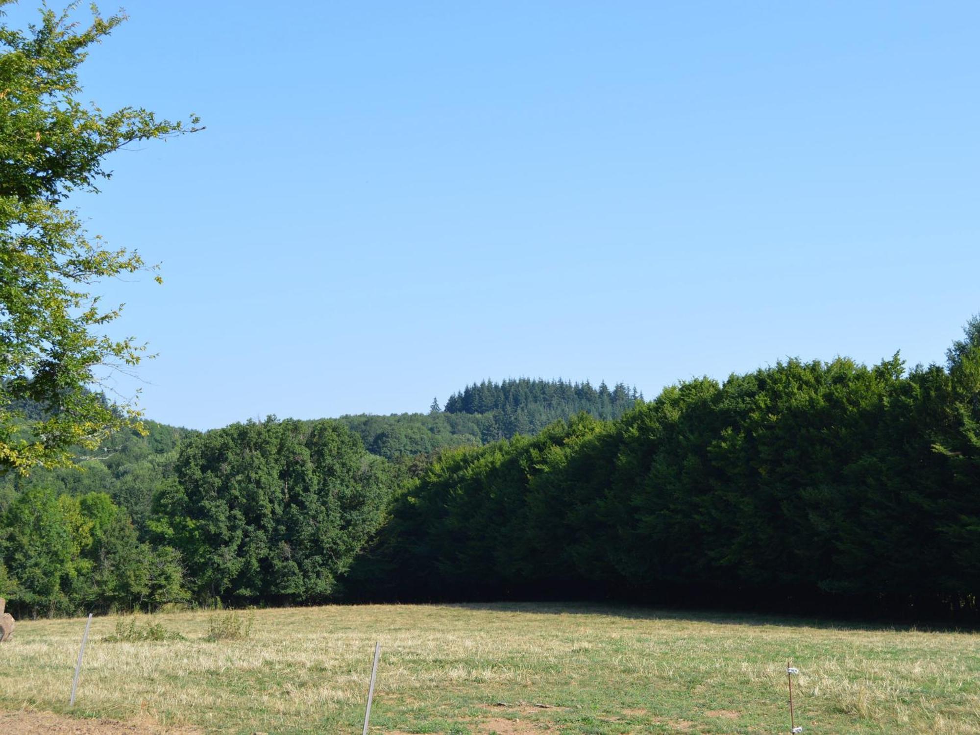 Grande Ferme Renovee Avec Jardin Et Loisirs A Proximite - Fr-1-591-155 Villa Pouligny-Notre-Dame Екстериор снимка
