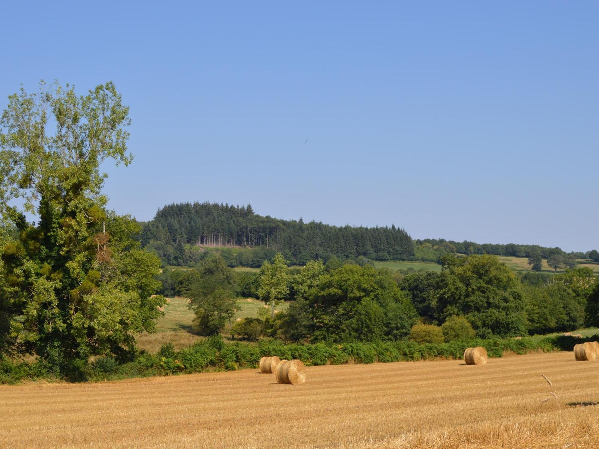 Grande Ferme Renovee Avec Jardin Et Loisirs A Proximite - Fr-1-591-155 Villa Pouligny-Notre-Dame Екстериор снимка